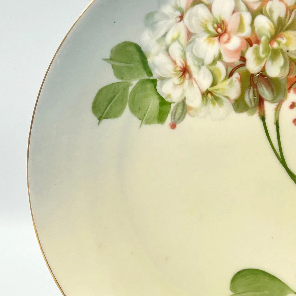 Antique Z.S. & Co Bavaria Hand Painted Floral Cabinet Plate German Porcelain